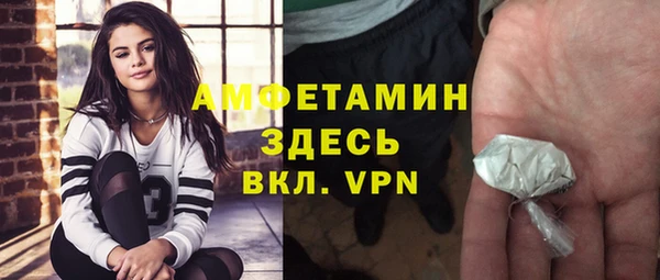 дурь Алексин