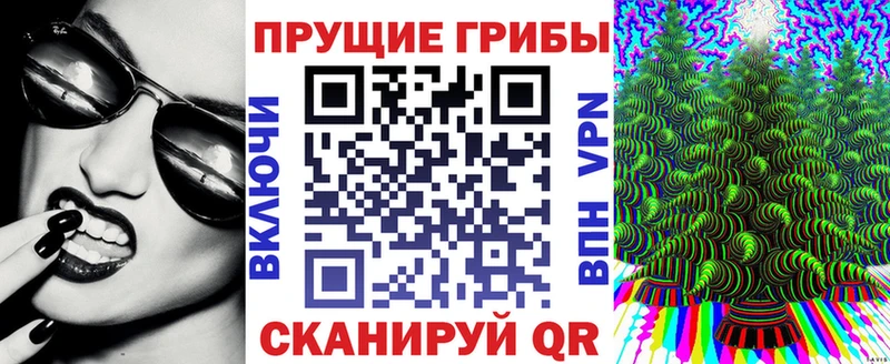 что такое   Урюпинск  площадка Telegram  Псилоцибиновые грибы ЛСД  ссылка на мегу tor 