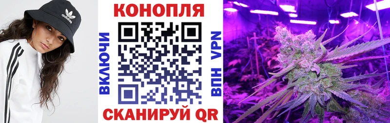 цены   blacksprut как зайти  Шишки марихуана план  Урюпинск 